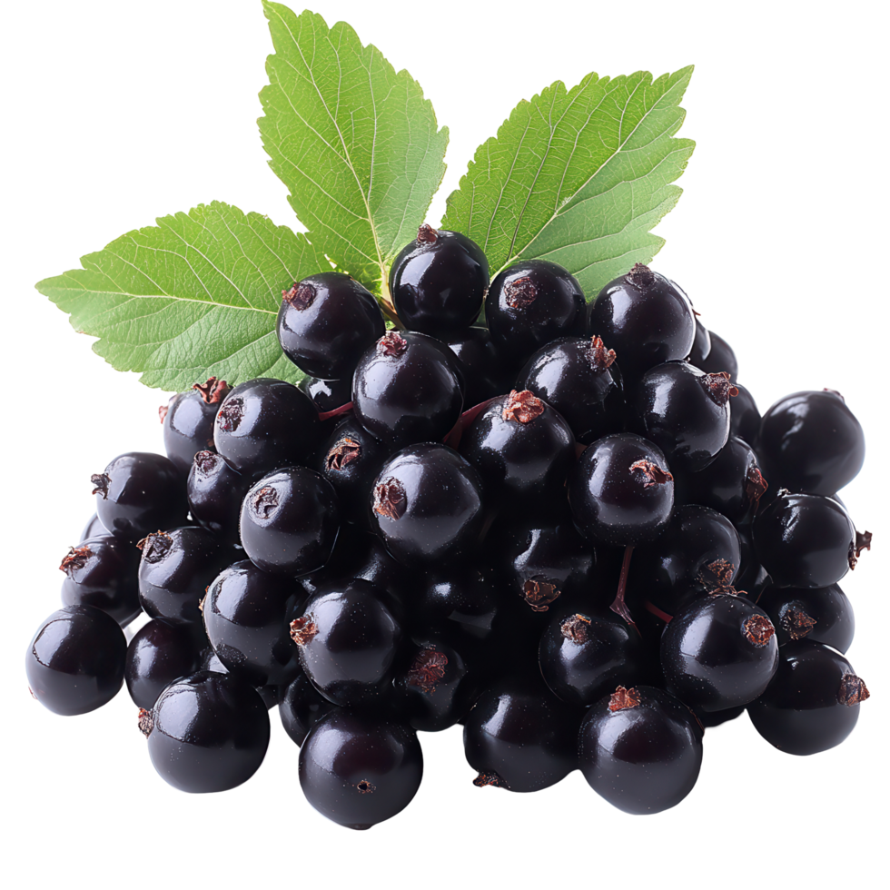 Fresh blackcurrants with green leaves arranged on a white background for culinary use and health benefits isolated on transparent background png