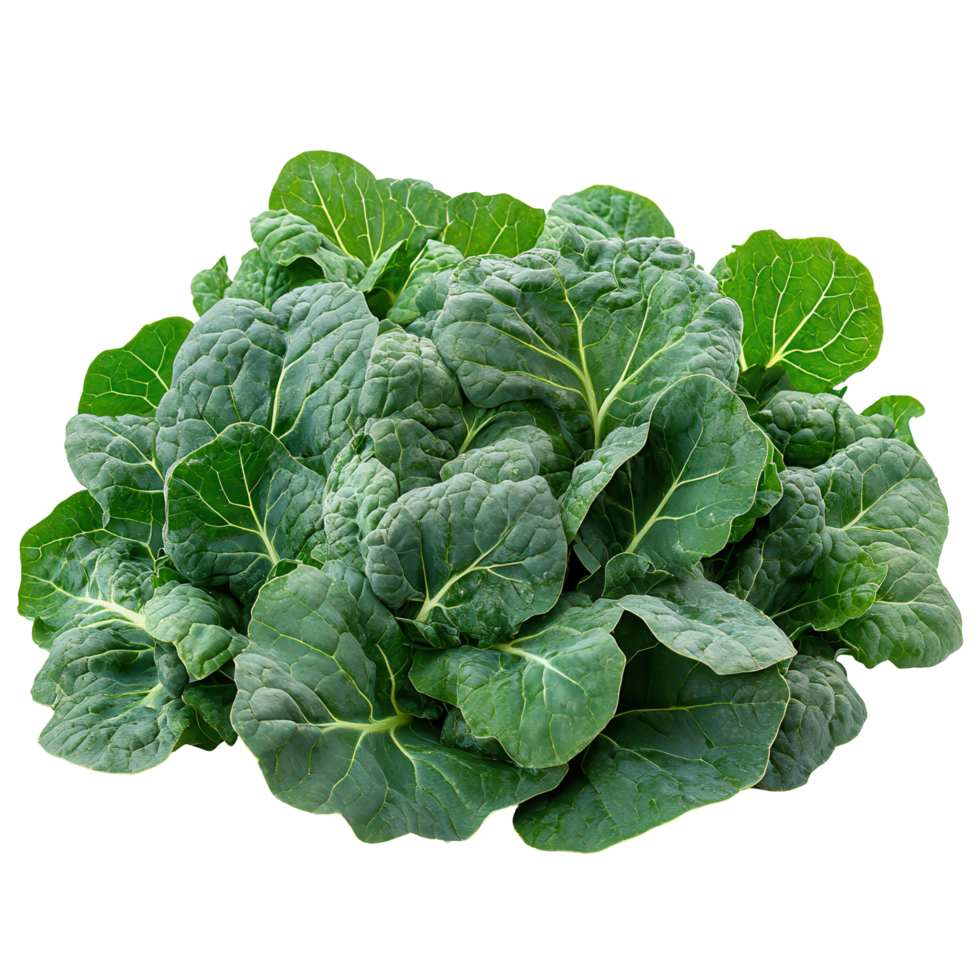 Fresh green leafy vegetables piled together in a vibrant display at a local market stall in autumn isolated on transparent background png