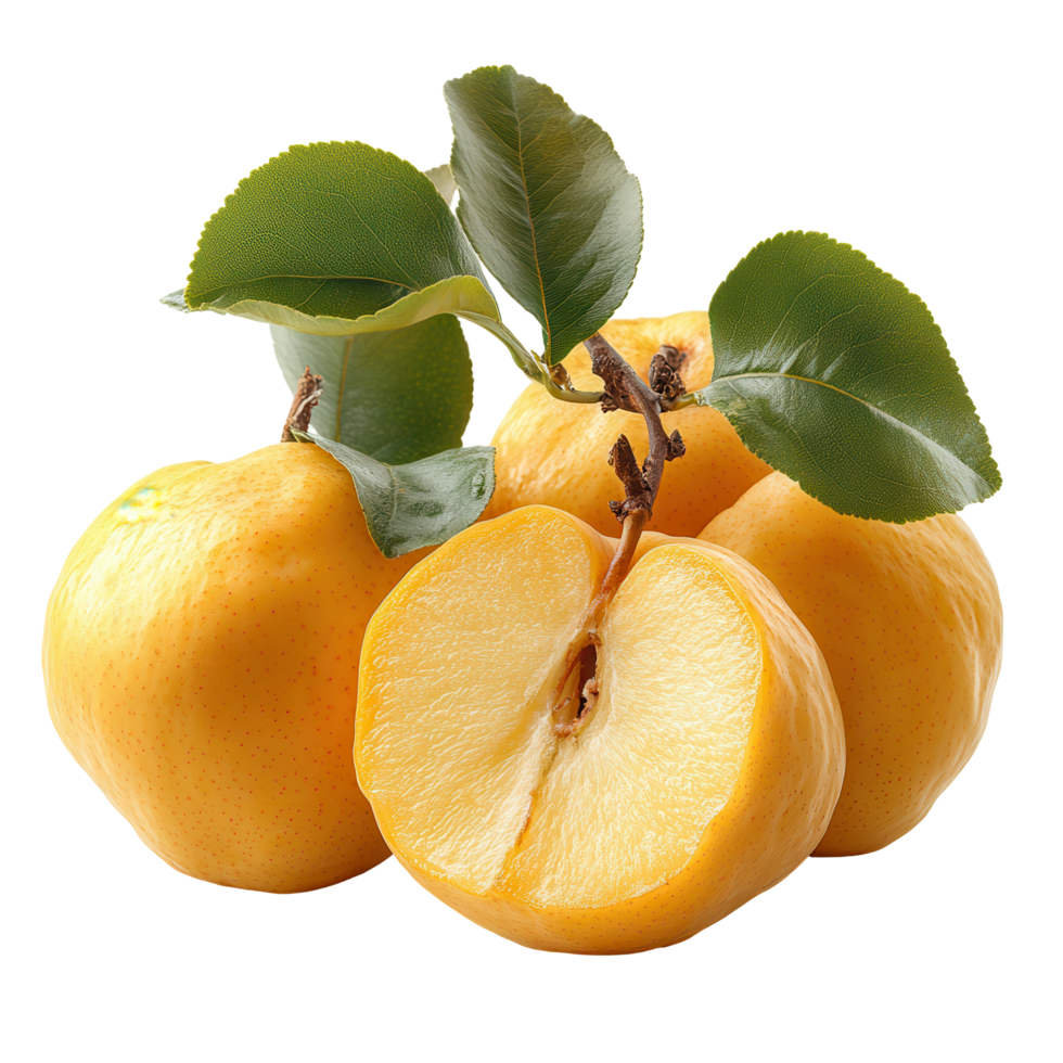 Bright yellow quinces arranged with lush green leaves showcasing fresh fruit ready for autumn harvest isolated on transparent background png