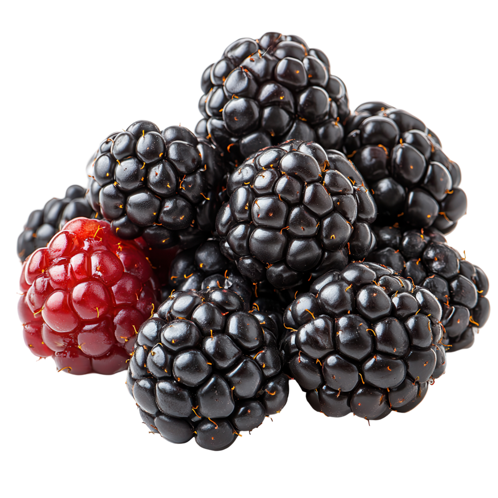 Fresh blackberries and a raspberry clustered together on a white background showcasing their rich colors and textures isolated on transparent background png