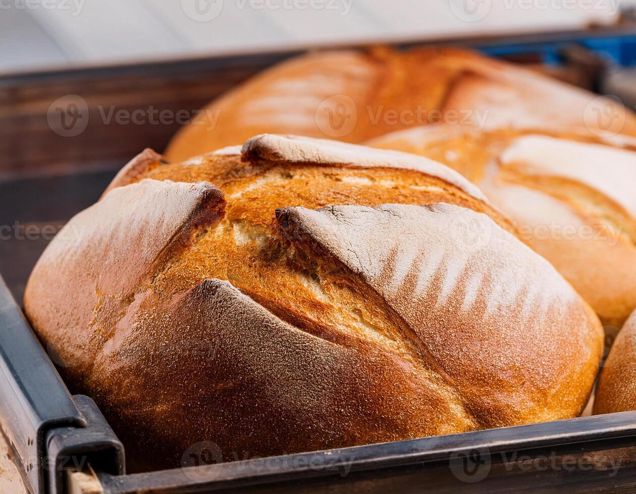 Close-Up of Rustic Bread Loaves on a Baking Tray photo