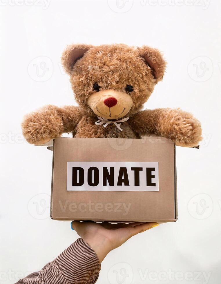 Act of Kindness, Hands Holding Donation Box with a Toy photo
