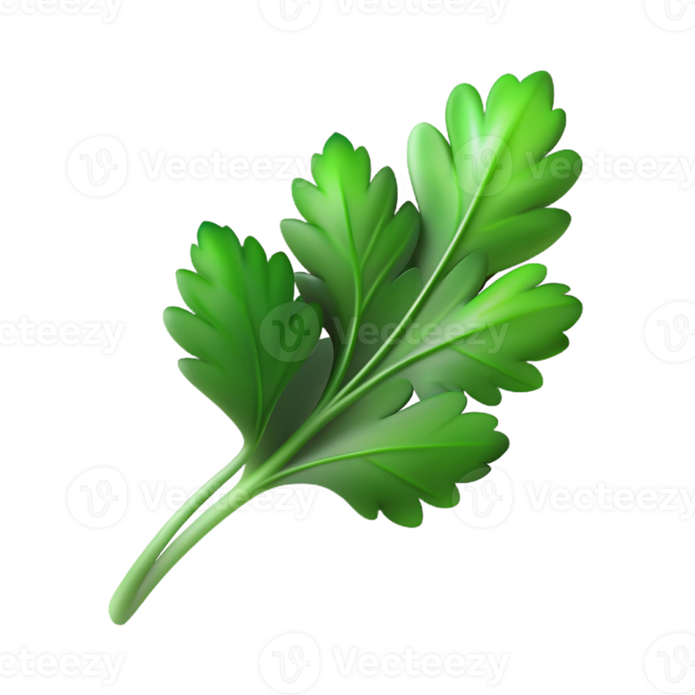 Realistic 3D coriander leaf for food designs png