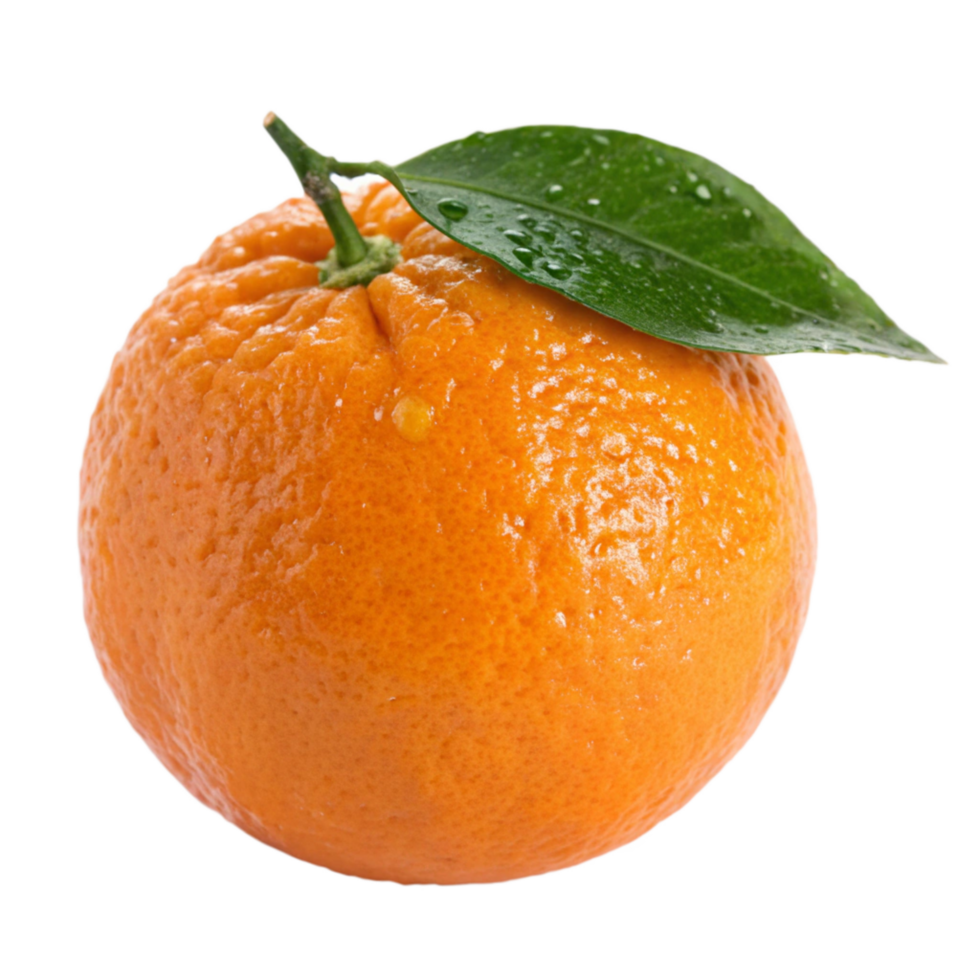 Fresh orange fruit photography studio setting minimalist design png