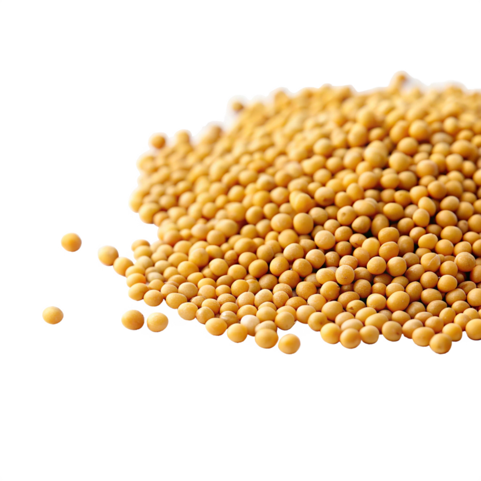 Isolated mustard seeds on food photography studio environment close-up view culinary concept png