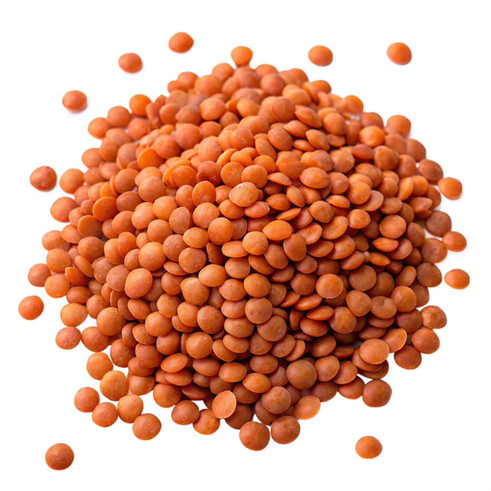 Lentils harvesting event food texture studio setting close-up view culinary ingredient png