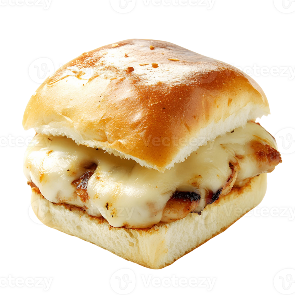 Sandwich with a piece of chicken and cheese on it png