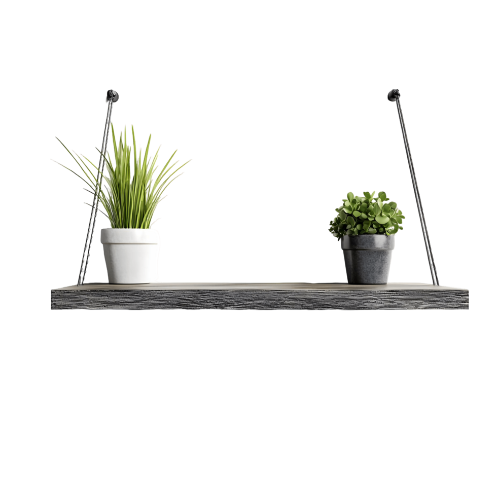 Shelf with two potted plants hanging from it png