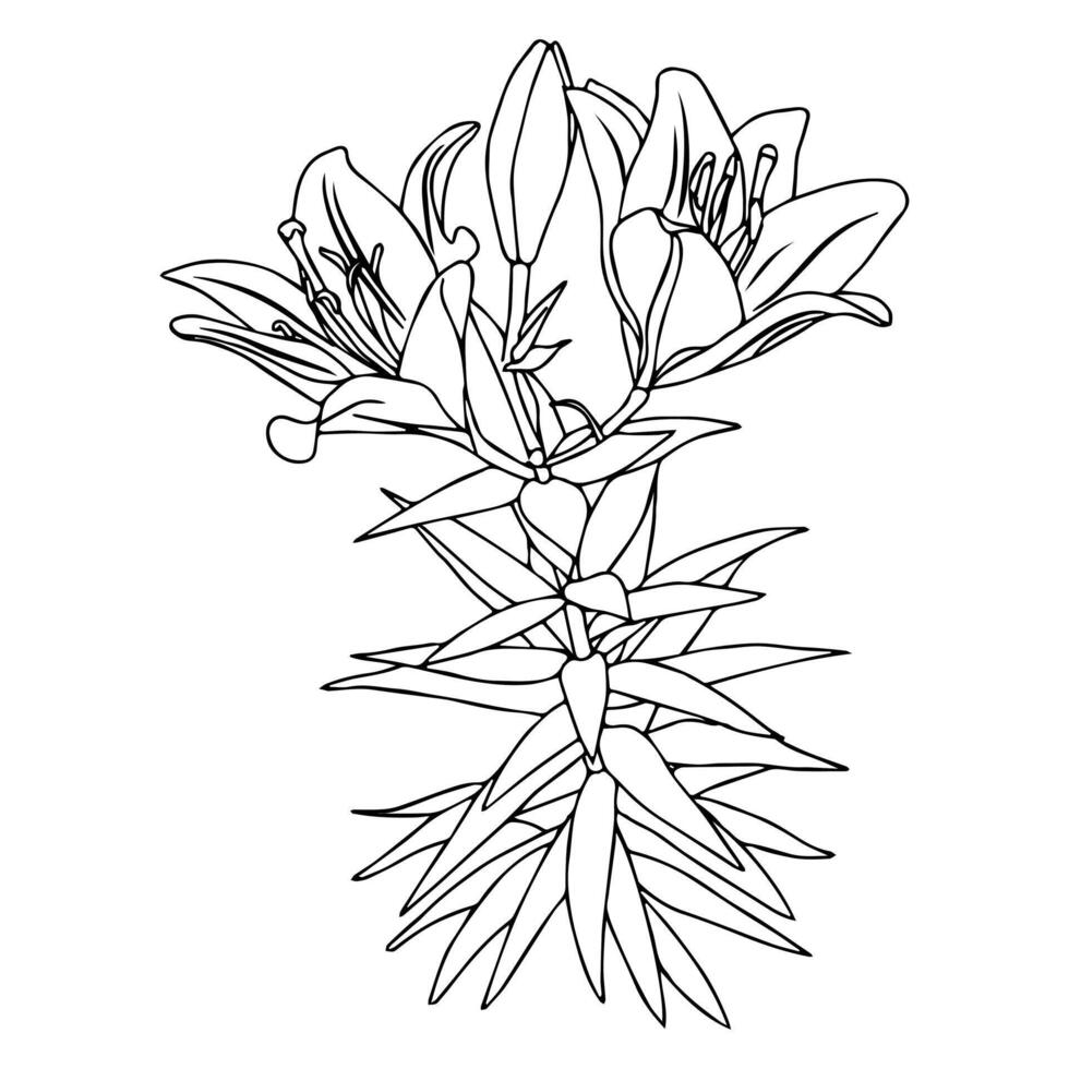 Frame for your design decorated in the lower left corner