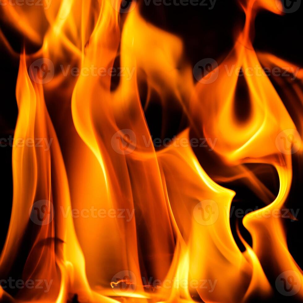 Red blaze Fire flame on a black background photo