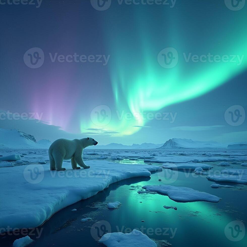 Solitary Polar Bear Stands Against the Shimmering Icebergs and Dancing Northern Lights photo