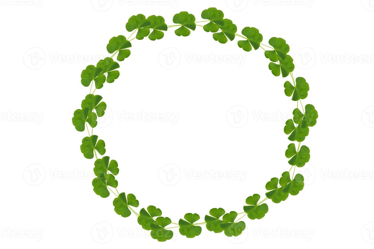 round frame. green clover leaves isolated on white background. St.Patrick 's Day photo