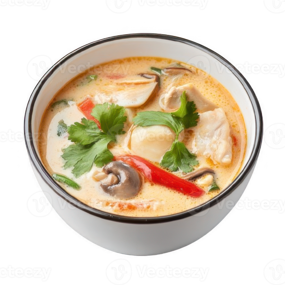 Tom Yum Goong, Thai spicy soup with chicken and vegetables. Tom Kha Gai png