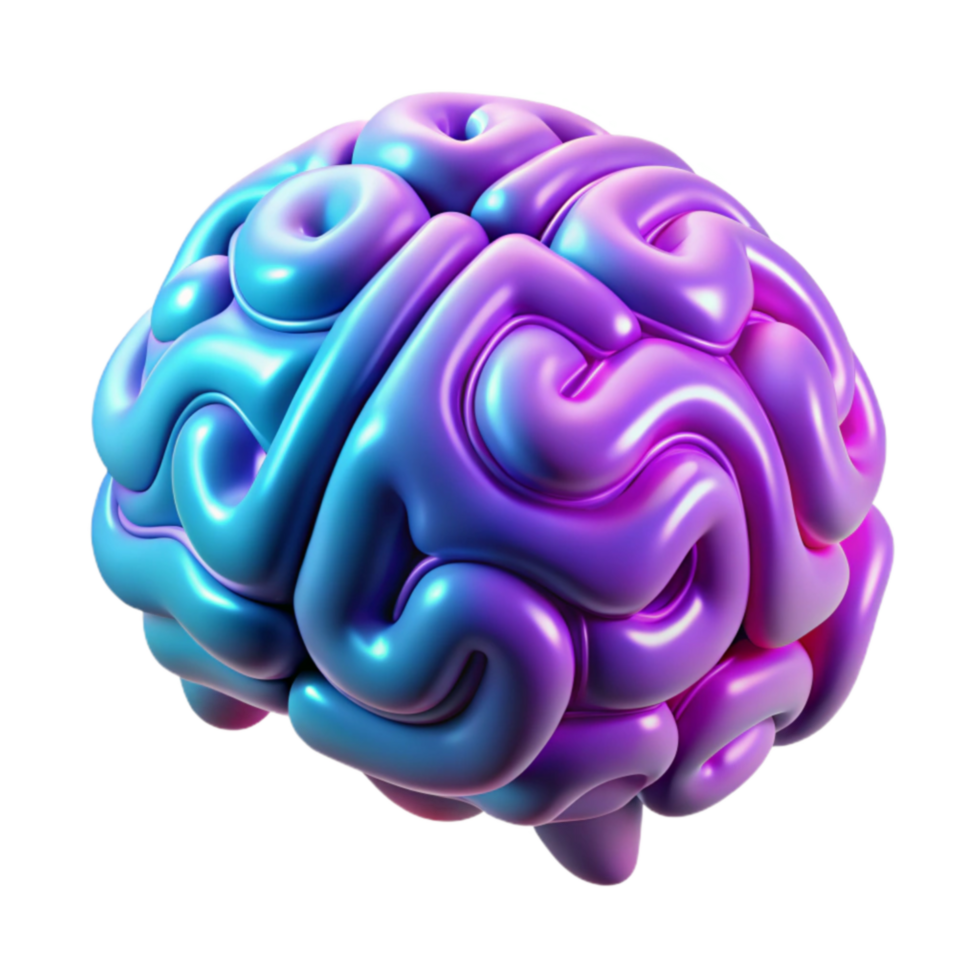 Exploring the Human Brain Structure, Function, and Cognitive Processes png