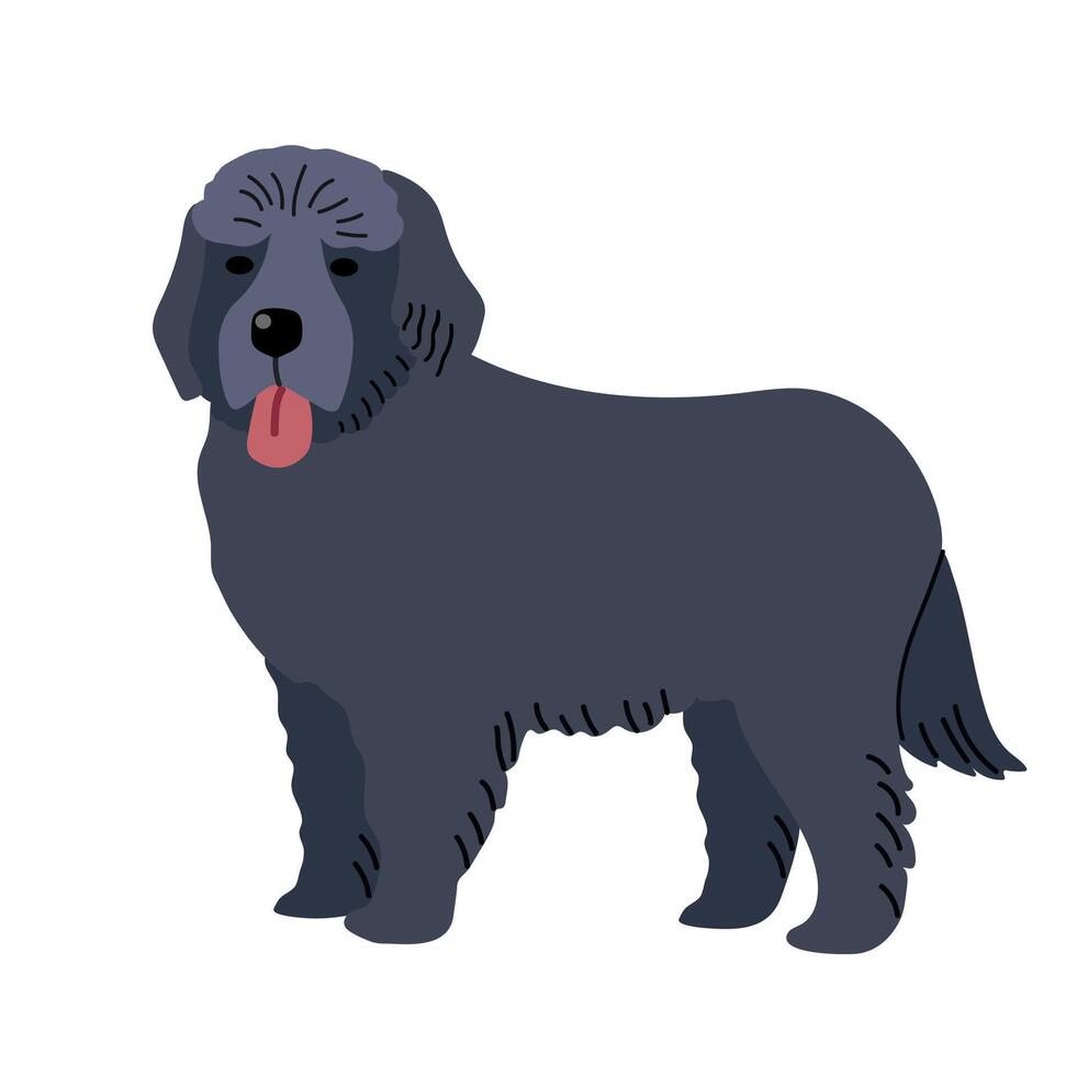 Newfoundland icon clipart avatar logotype isolated illustration vector