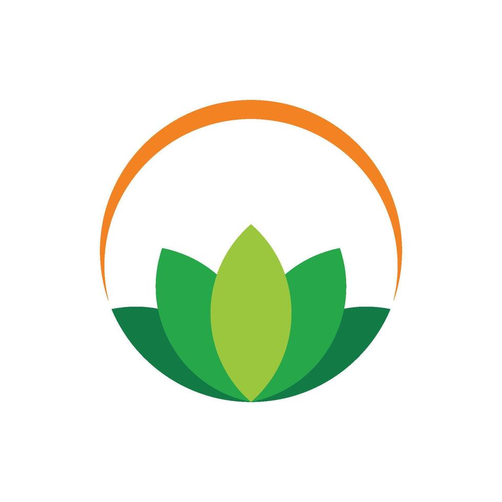 Lily Lotus Flower template Illustration Design. EPS 10. vector