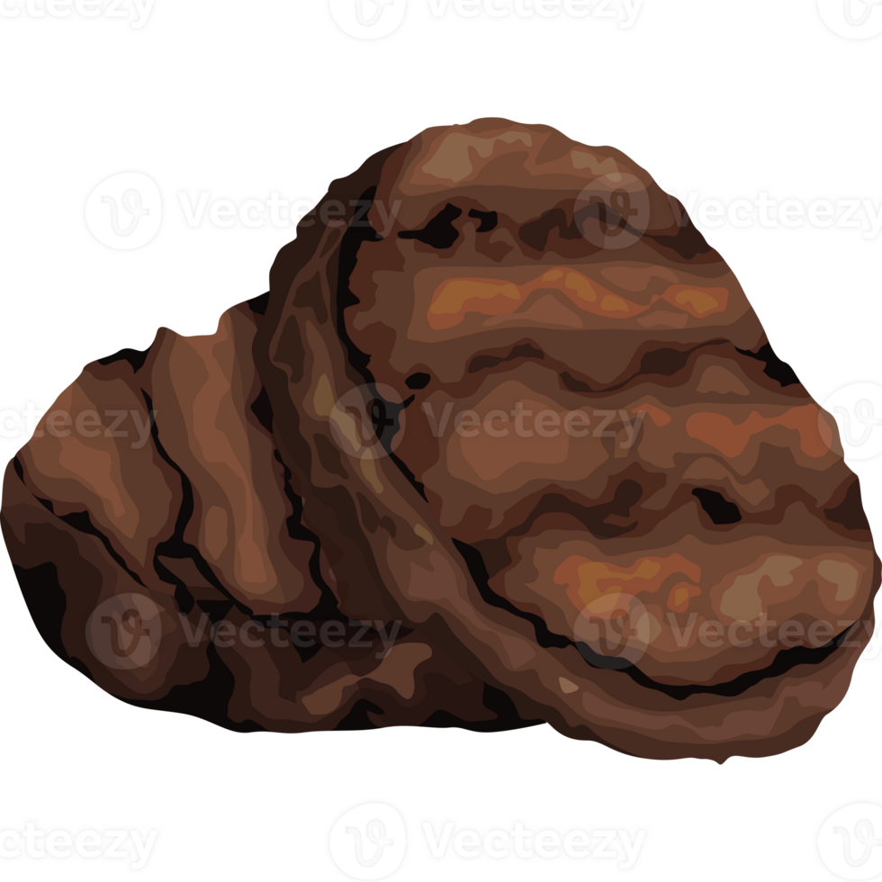 meat product grilled icon png