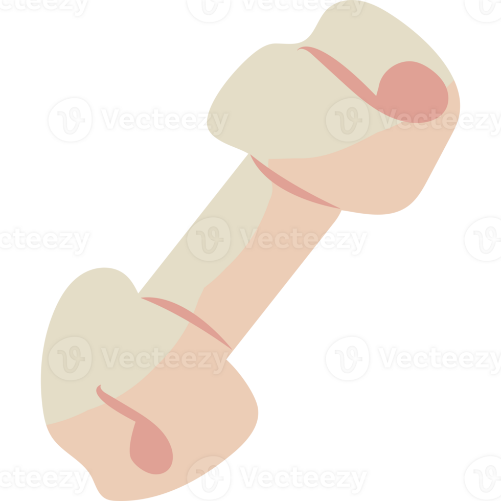 A bone is shown in a cartoon style isolated icon png