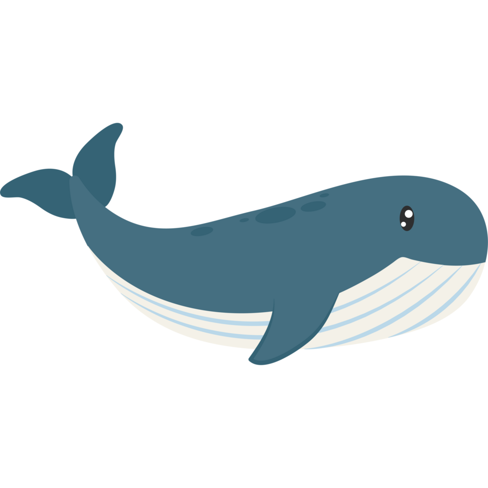 blue whale illustration isolated png