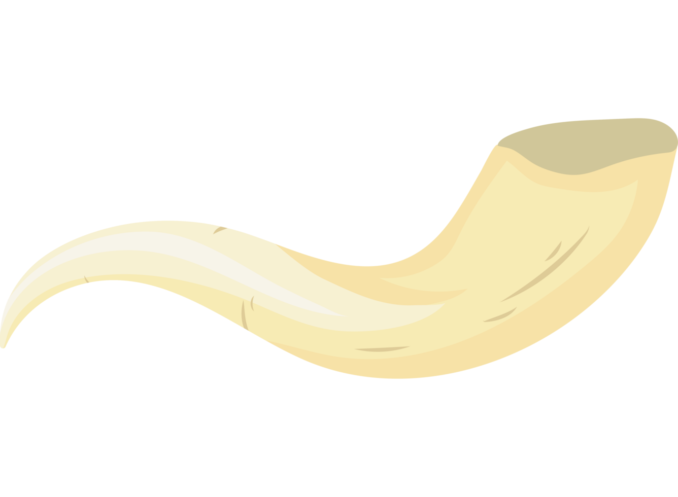 shofar horn illustration isolated png