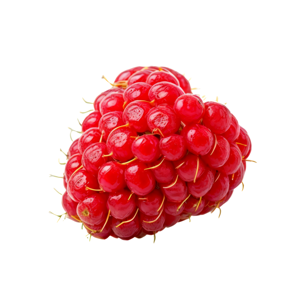 A raspberry is shown on a black background png