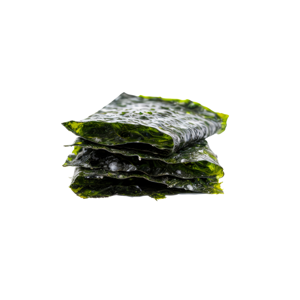 A stack of seaweed on a black background png