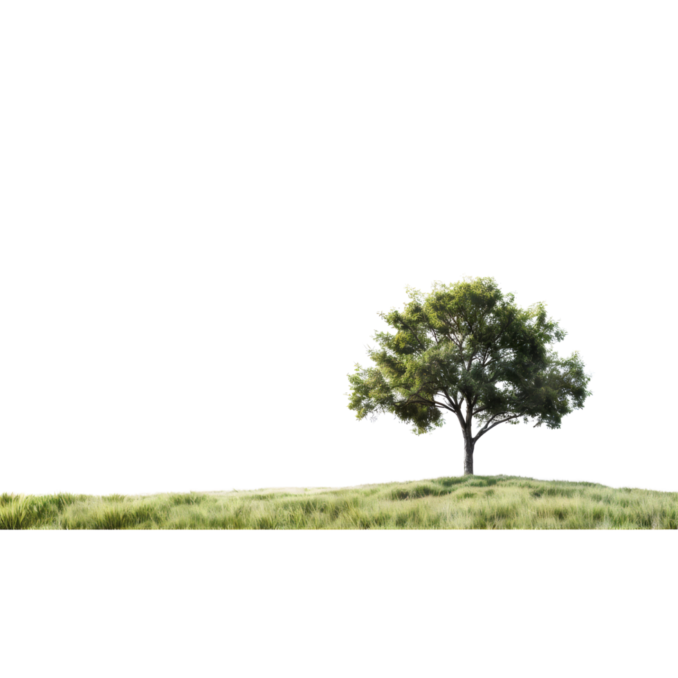 A lone tree on a grassy hill png