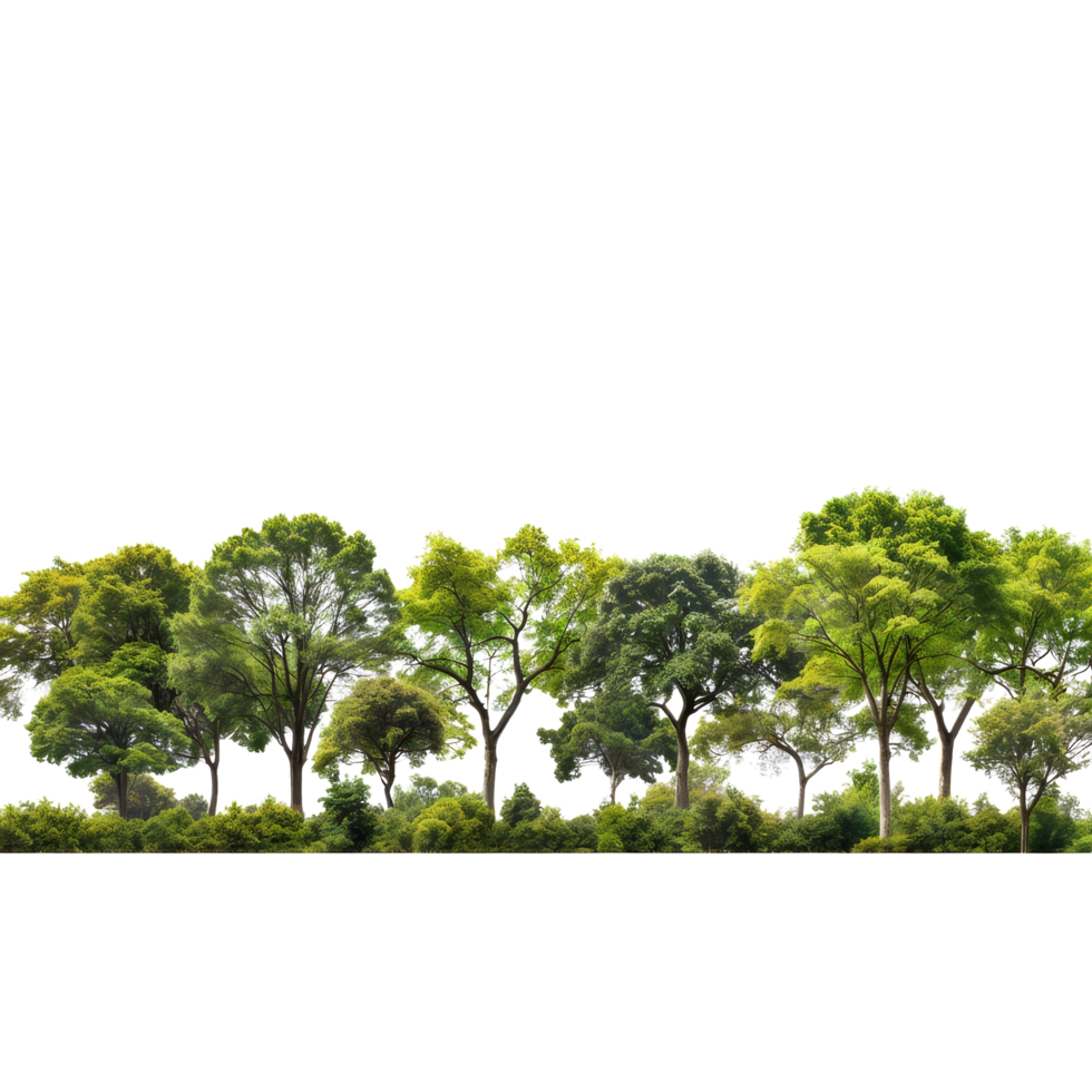 A row of trees in a field with a black background png