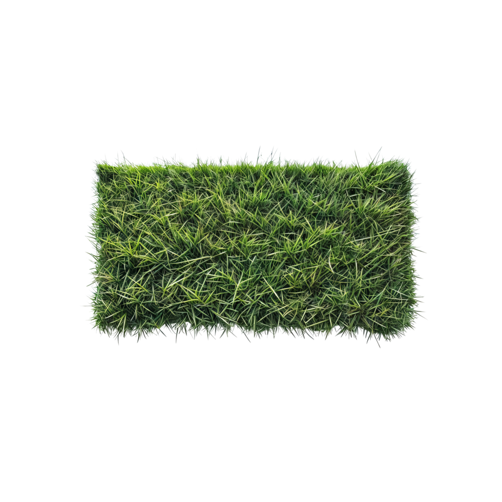 A square of grass on a black background png