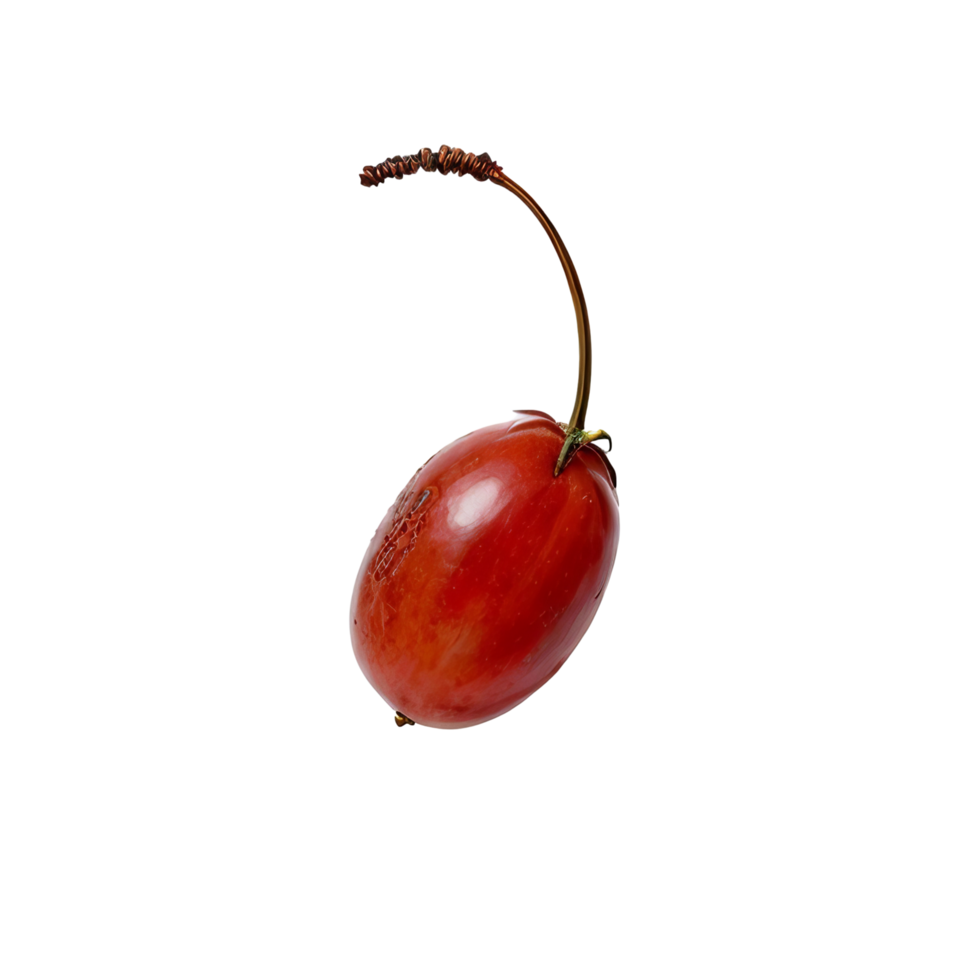 A single red apple on a black background png