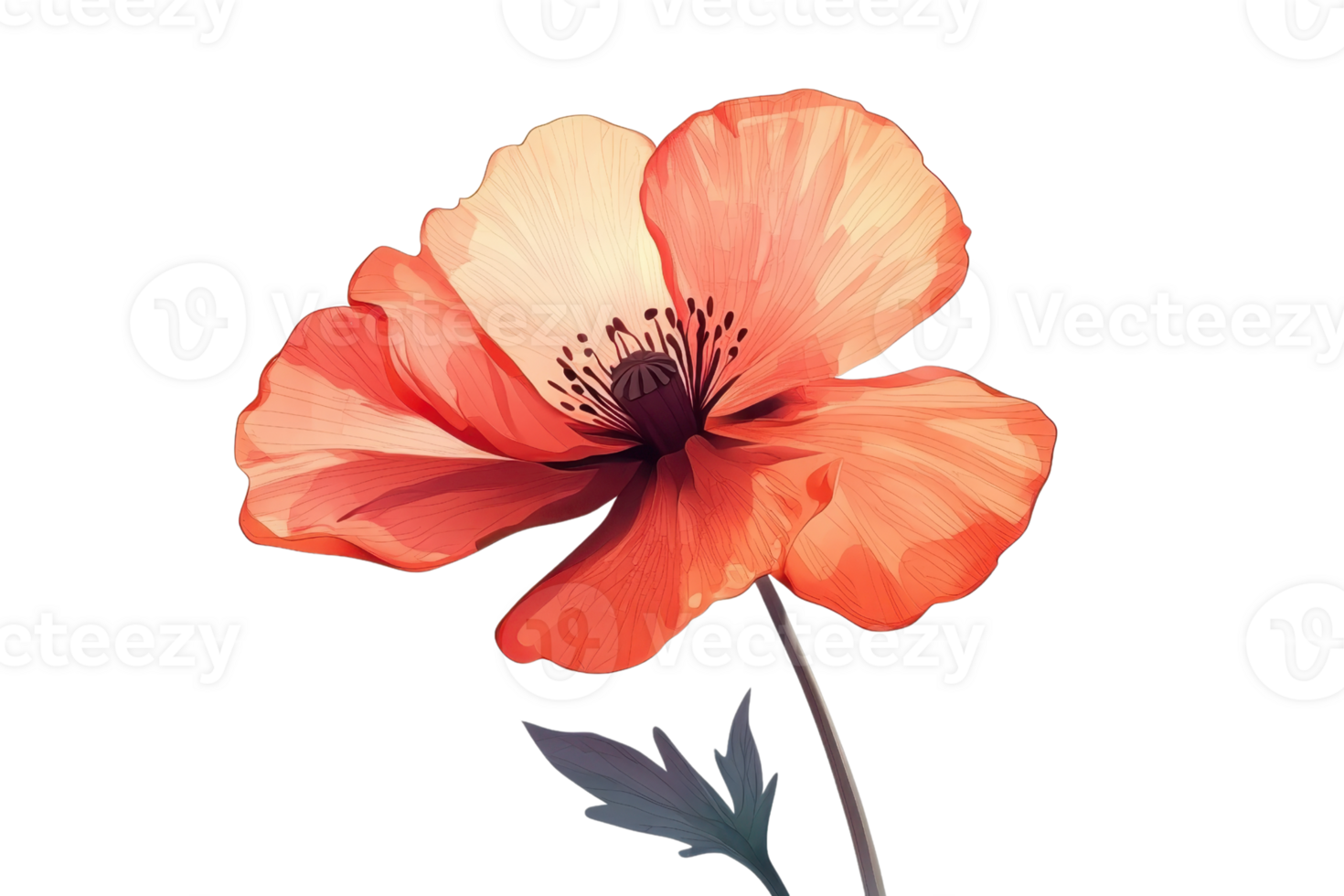 Beautiful watercolor illustration of a vibrant poppy flower with delicate petals and green leaves, capturing nature's elegance and charm. png