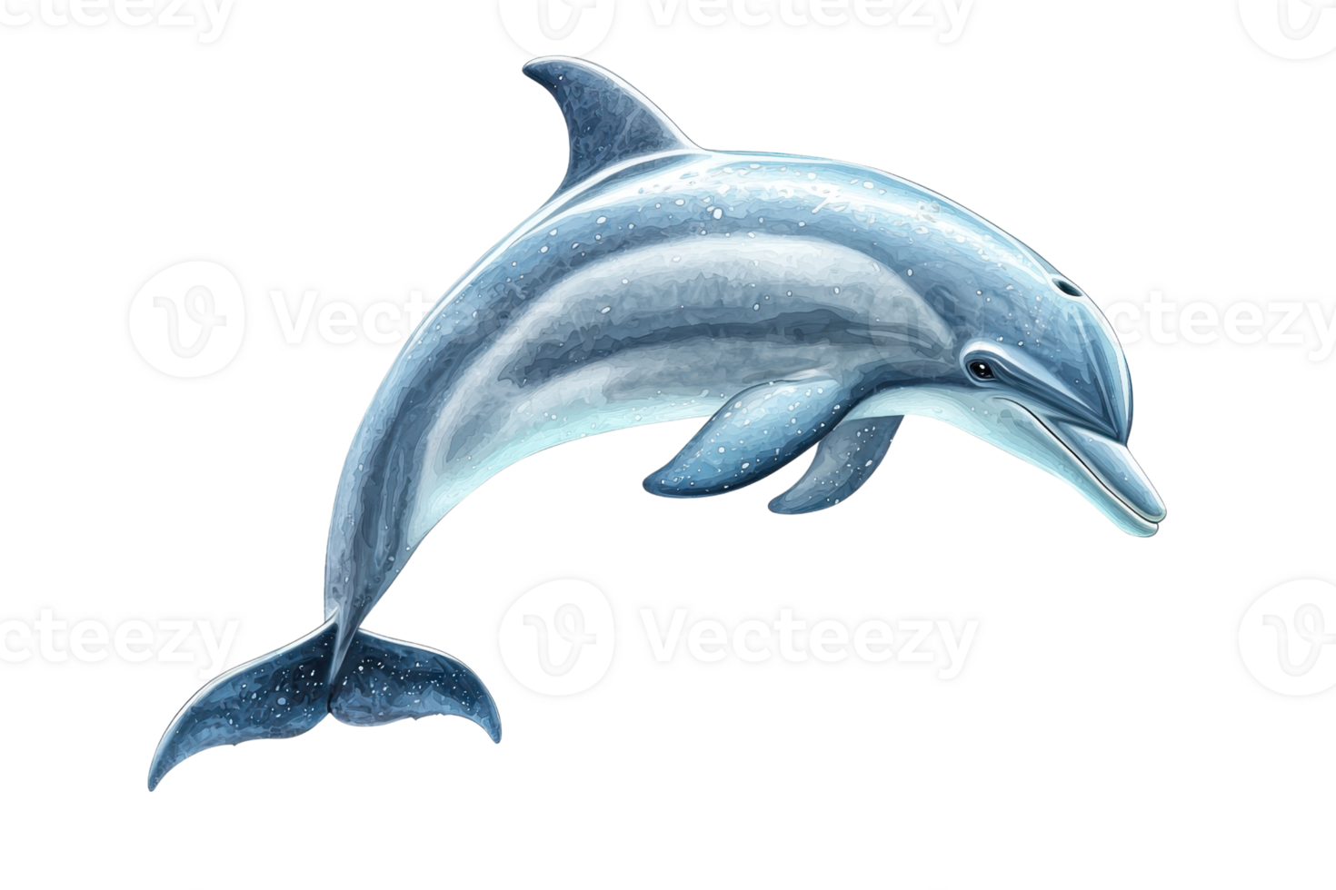 Illustration of a playful dolphin leaping in the air, showcasing its graceful and lively nature against a transparent background. png