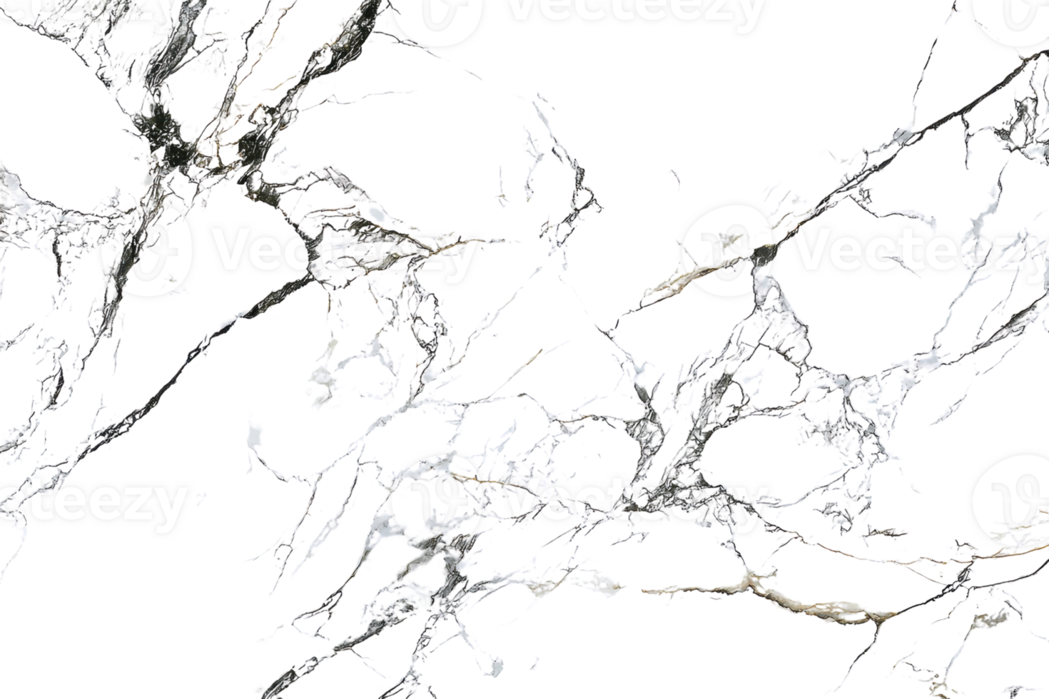 Intricate spider web glistening in the light, spanning across dry tree branches. Perfect for nature-themed and spooky decor. png