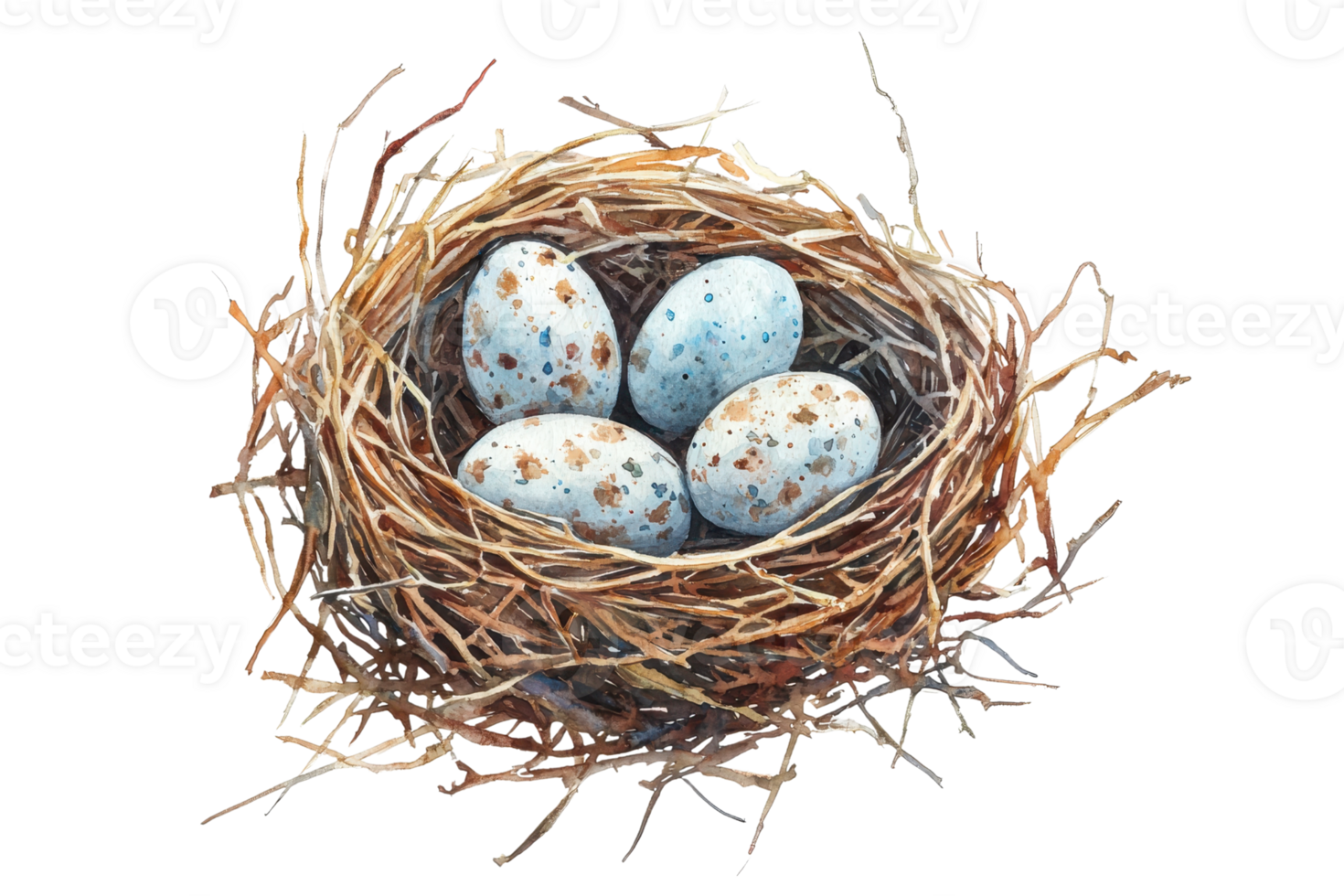 Close-up of a bird's nest with four speckled eggs on a transparent background. showcasing nature and wildlife in a serene setting. png