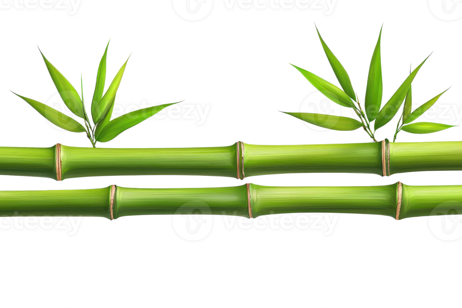 Seamless bamboo border illustration with green leaves, perfect for eco-friendly design projects and natural-themed backgrounds. png