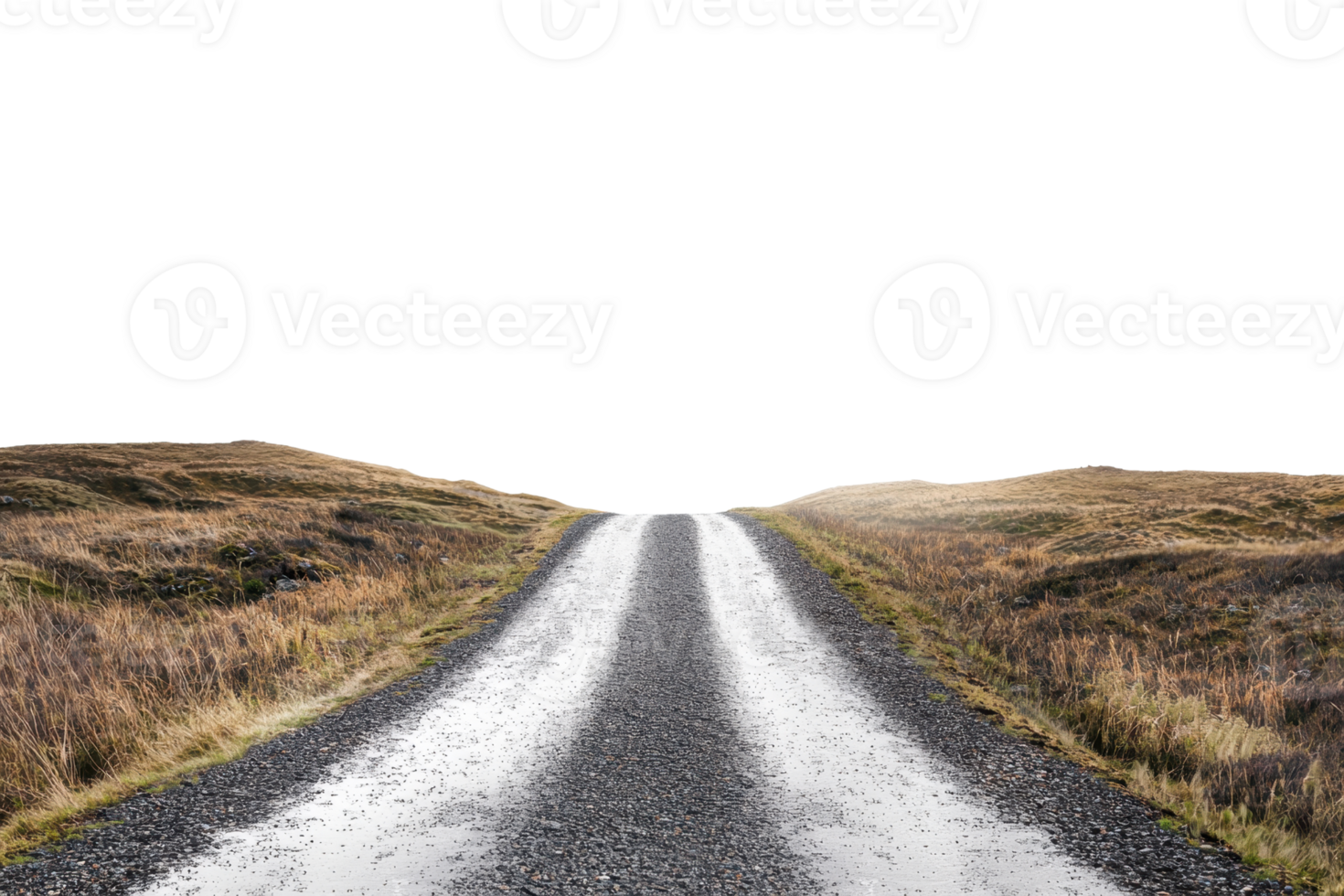 Empty gravel road stretching into the horizon, flanked by grassy fields under a clear sky, representing solitude and the journey ahead. png