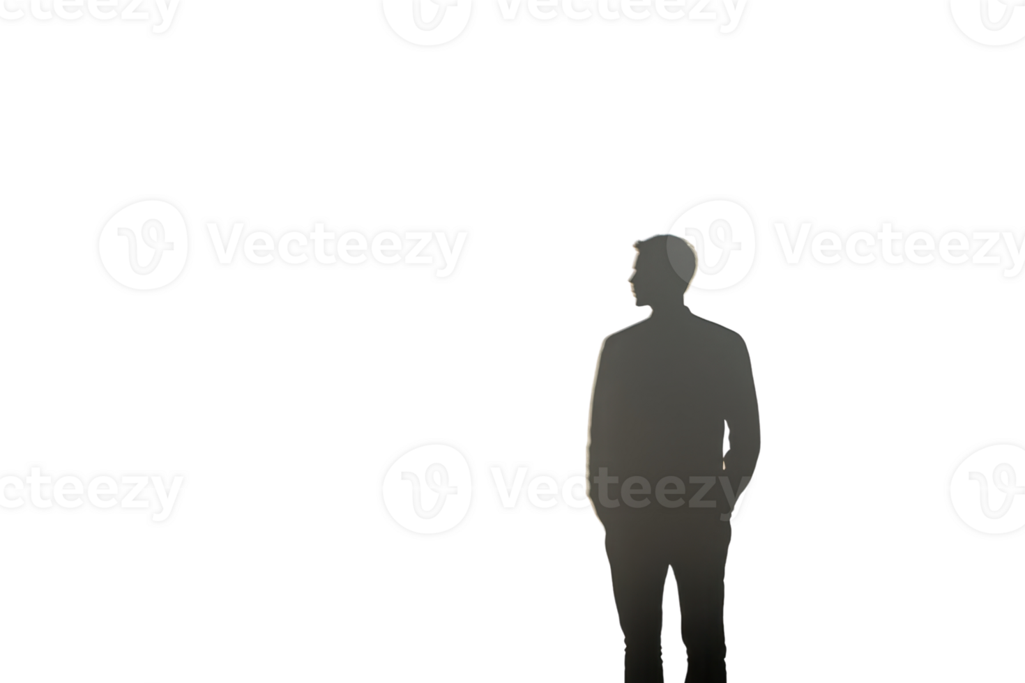 Silhouette of a person standing against a transparent background. emphasizing contrast and mystery in a minimalist artistic style. png