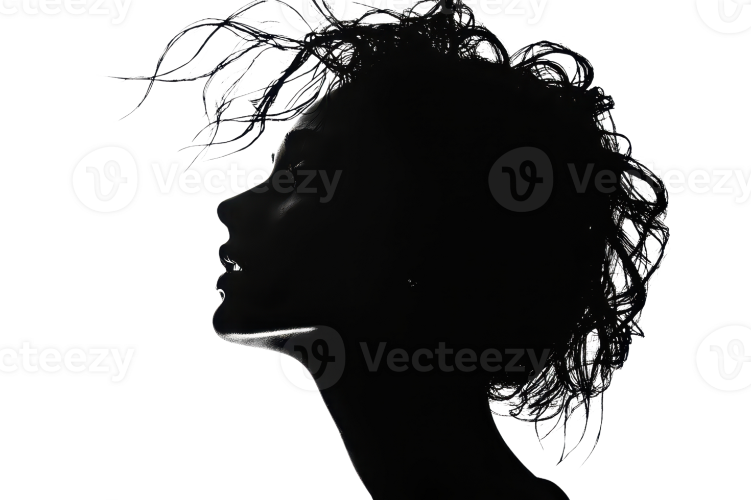 Silhouette of a woman with curly hair in profile view, showcasing the elegant lines and artistic nature of shadows and form. png