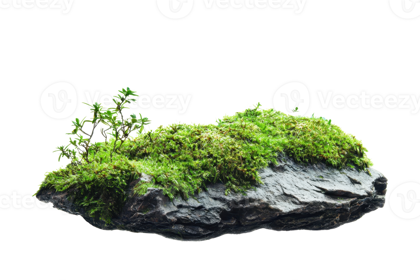Isolated moss-covered rock with small plants, showcasing vibrant green moss on a dark stone, ideal for nature-themed projects. png