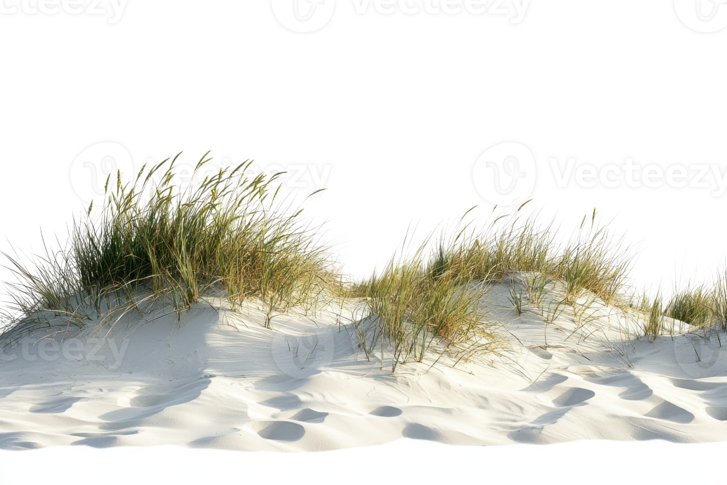 Scenic view of sand dunes with grass, highlighting the serene coastal landscape perfect for nature backgrounds and calming images. png