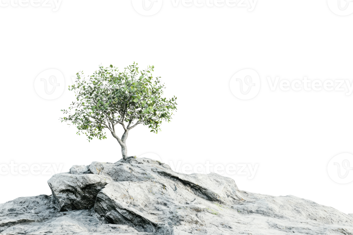 Lone green tree atop rugged rocky terrain, symbolizing resilience and solitude in a natural landscape against a transparent background. png
