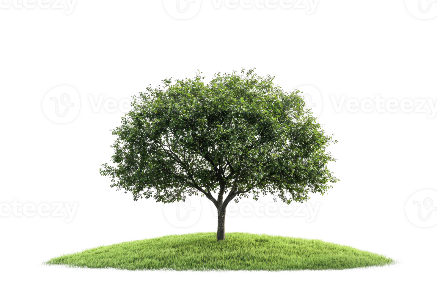 Lush green tree on a small grassy hill isolated on transparent background. showcasing natural beauty and simplicity. png