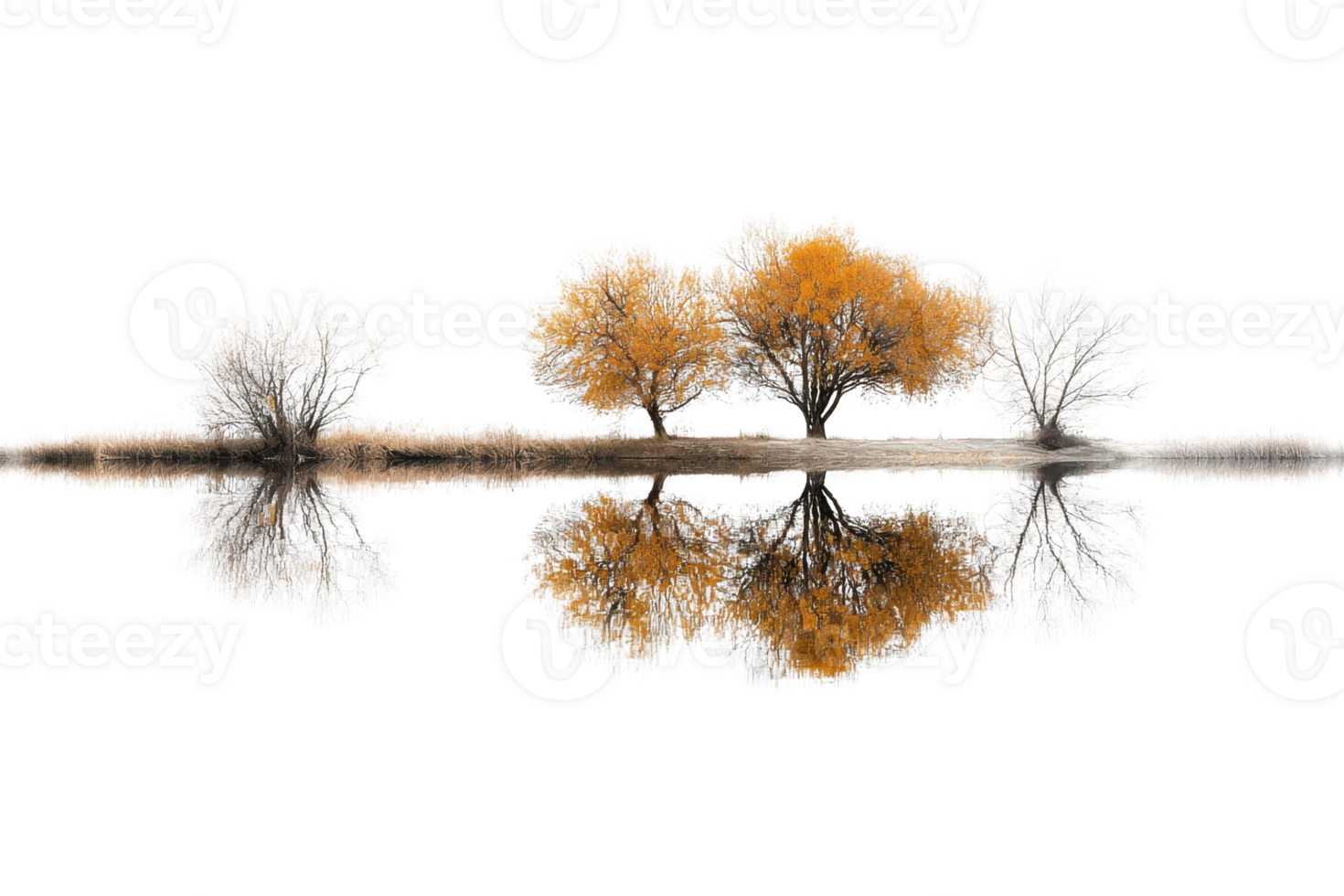Reflection of colorful autumn and winter trees in calm water, creating a symmetrical and serene natural landscape. png