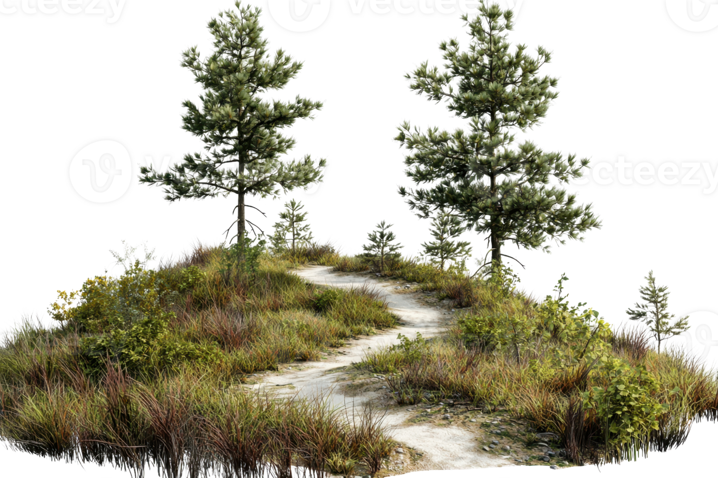 Tranquil nature scene featuring a winding dirt path through grass and trees, ideal for outdoor and nature-themed projects. png