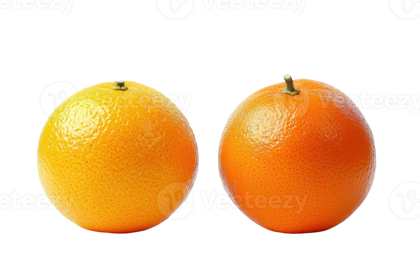 Two fresh oranges isolated on a transparent background. Perfect for healthy food concepts, vitamin C, citrus fruit, and natural diet themes. png