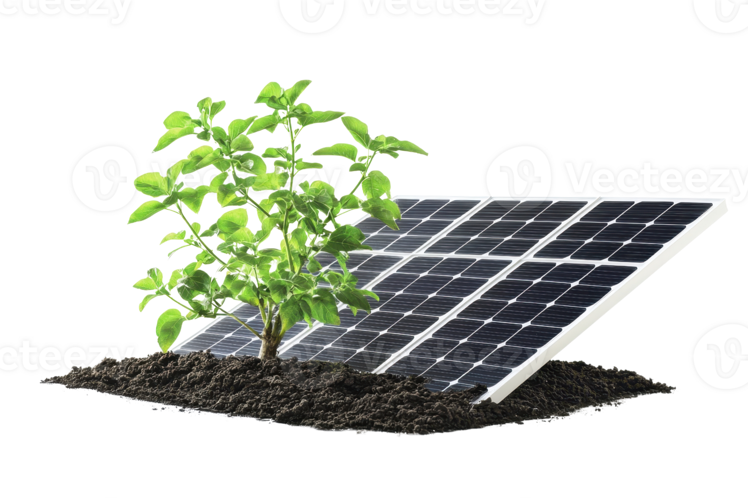 Solar panel embedded in soil with small green plant, symbolizing renewable energy and environmental sustainability. png