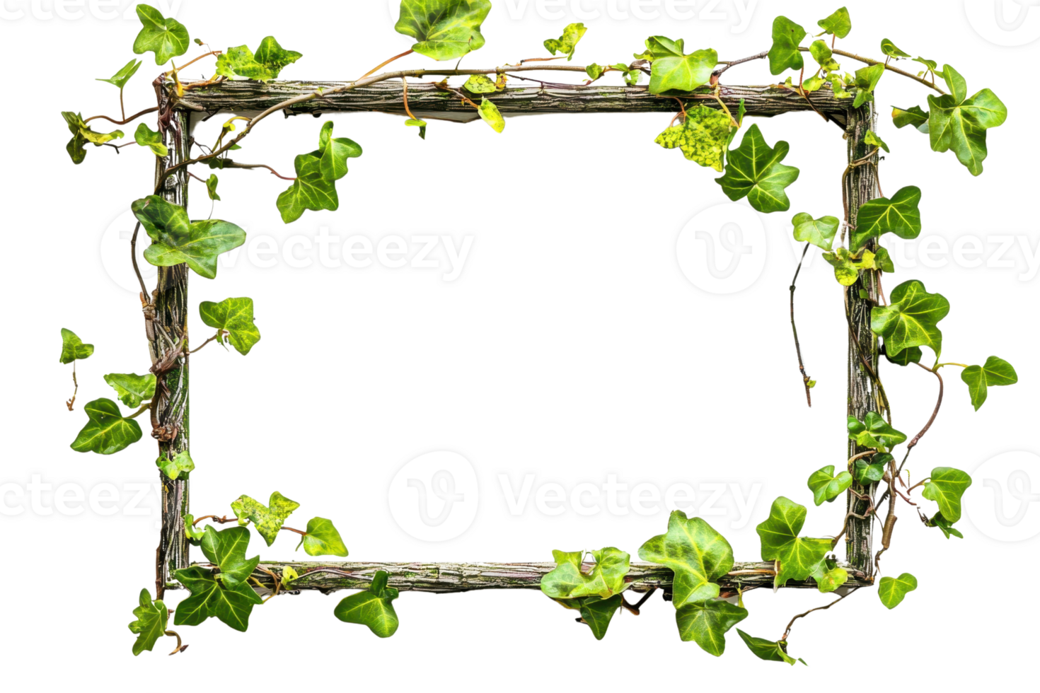 Wooden frame adorned with green ivy leaves, perfect for nature-themed designs, invitations, or garden decor projects. png