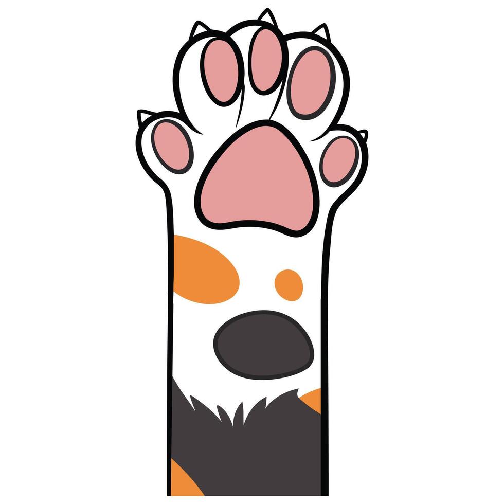 Cute Cat Paw Illustration and Kitty Footprint Clipart Design vector