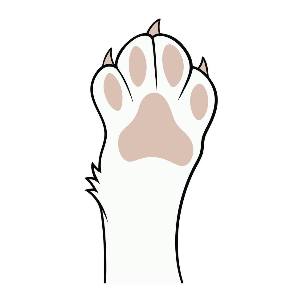 Sweet Cat Paw Illustration with Soft Footprints vector