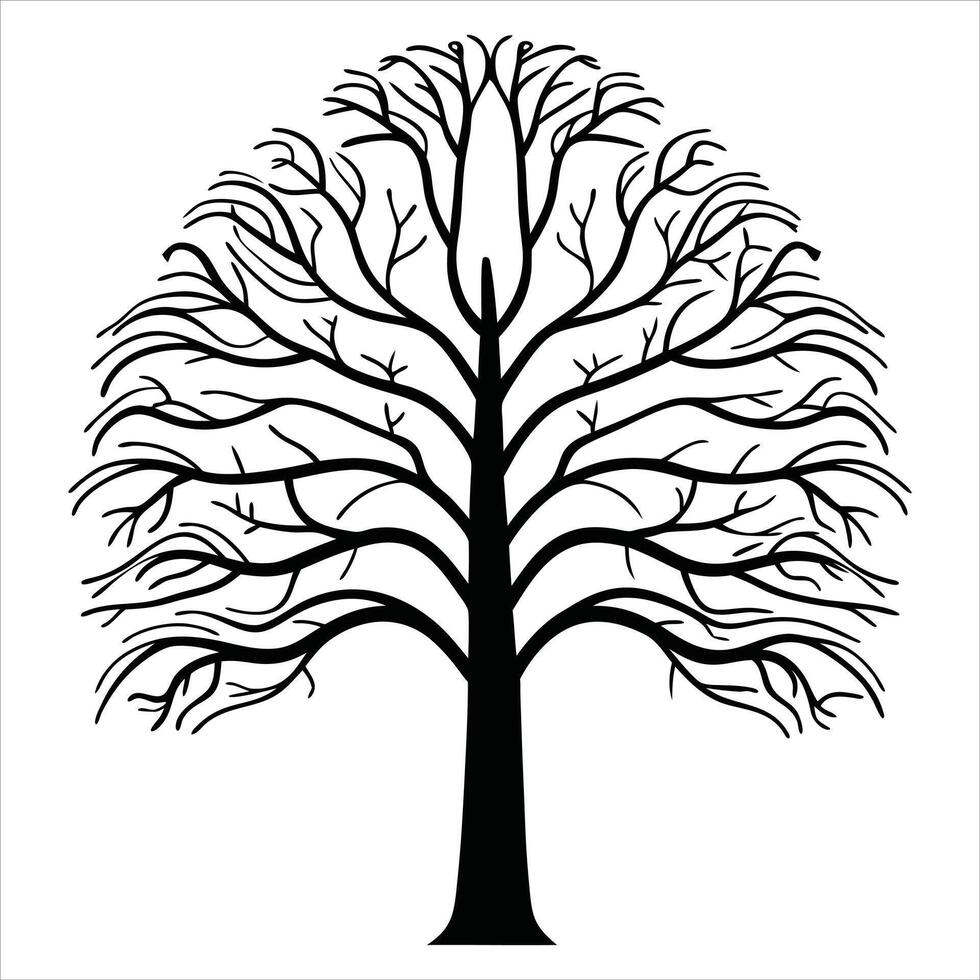 Detailed Bare Tree Silhouette with Spreading Branches vector